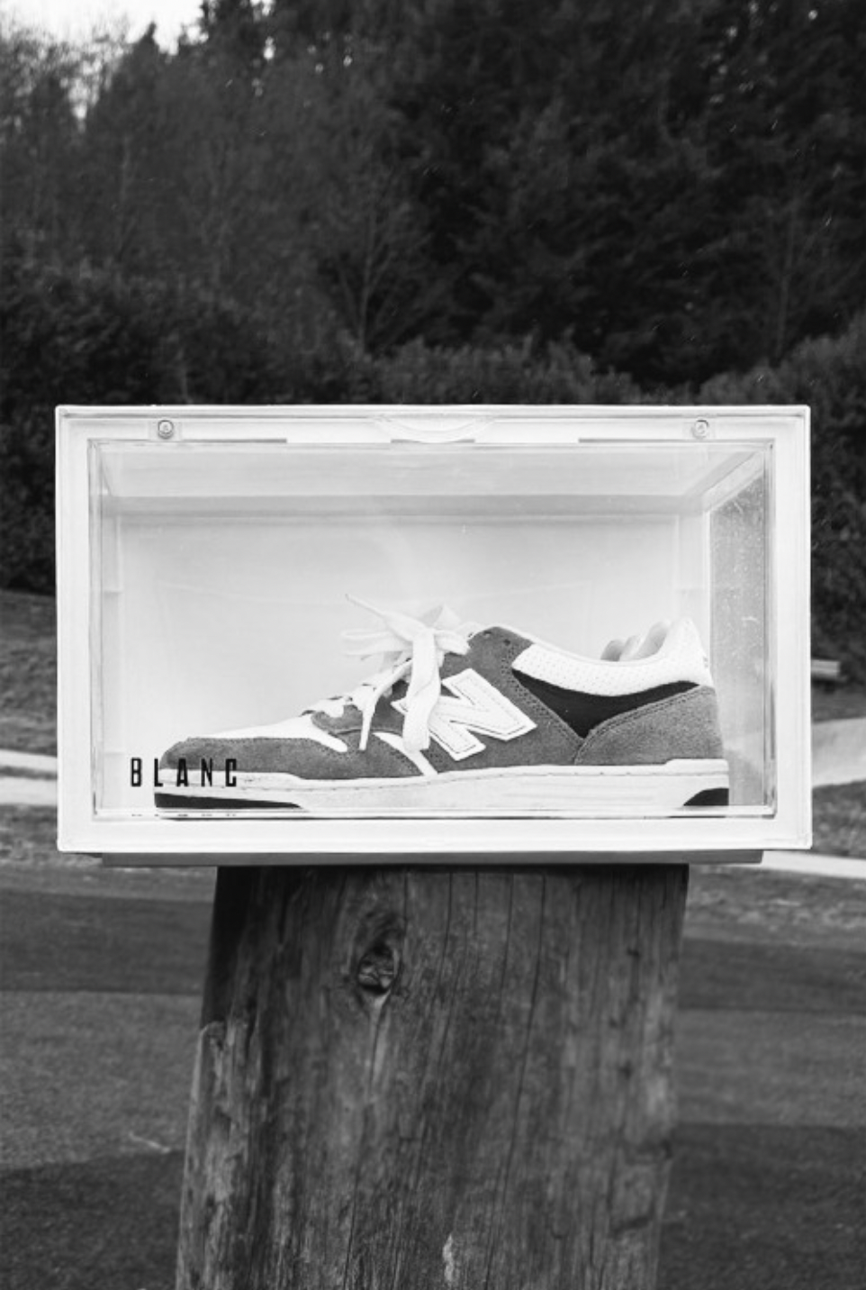 Sneaker in display box